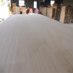 Paulownia Komisyon Konsèy pou Kiteboard